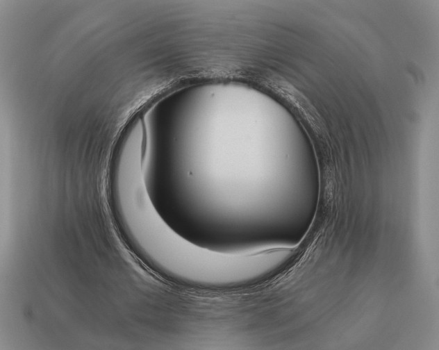 X0000115080677200911101503