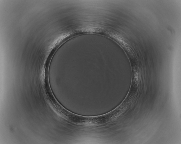 X0000115080678200911101503
