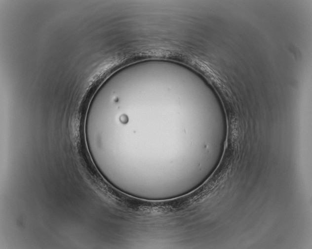 X0000115080679200911101503