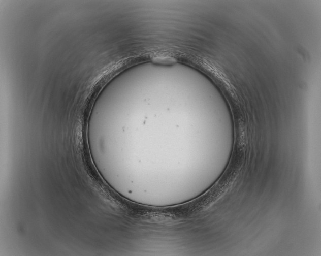 X0000115080681200911101503