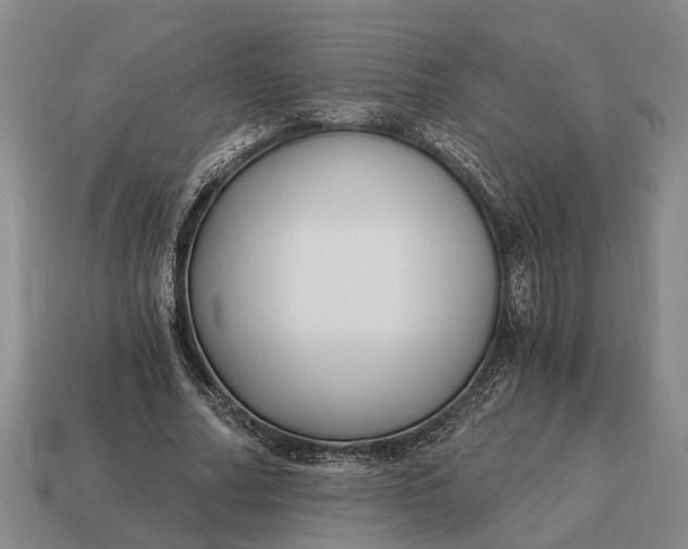 X0000115080682200911101503
