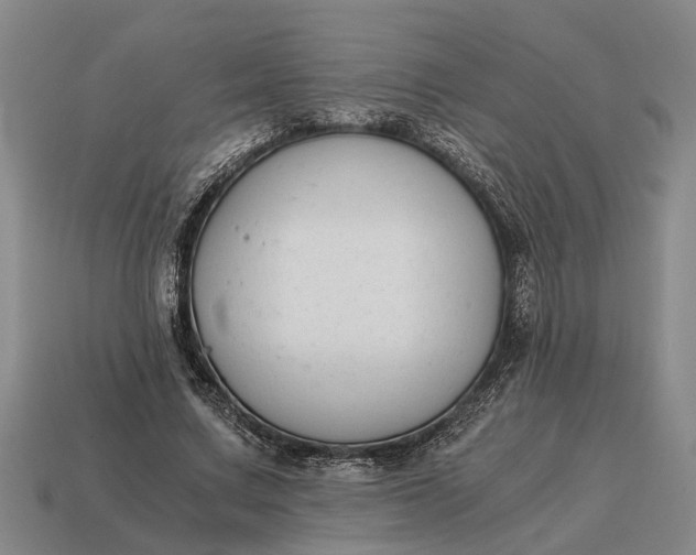 X0000115080683200911101503