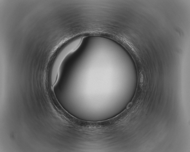X0000115080684200911101503