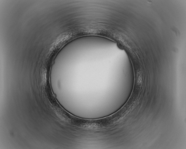 X0000115080685200911101503