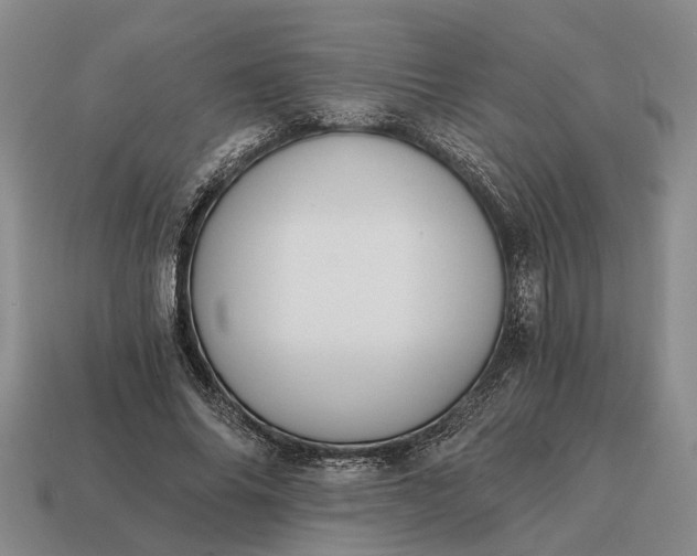 X0000115080686200911101503