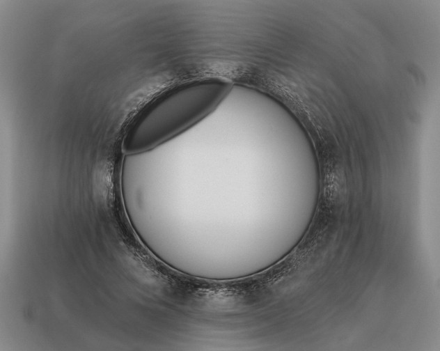 X0000115080688200911101503
