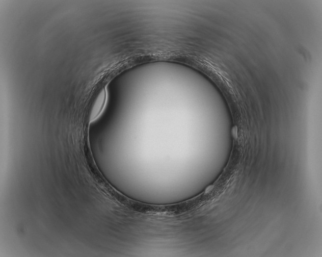 X0000115080689200911101503