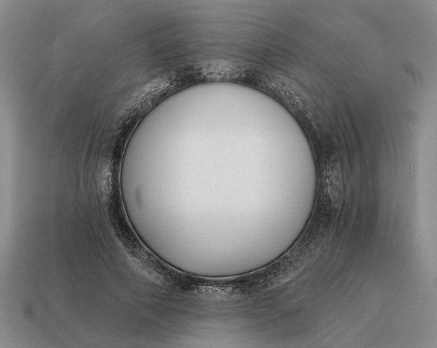X0000115080690200911101503