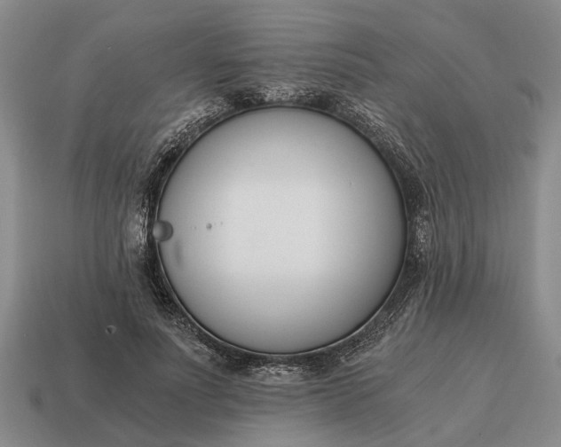 X0000115080691200911101503