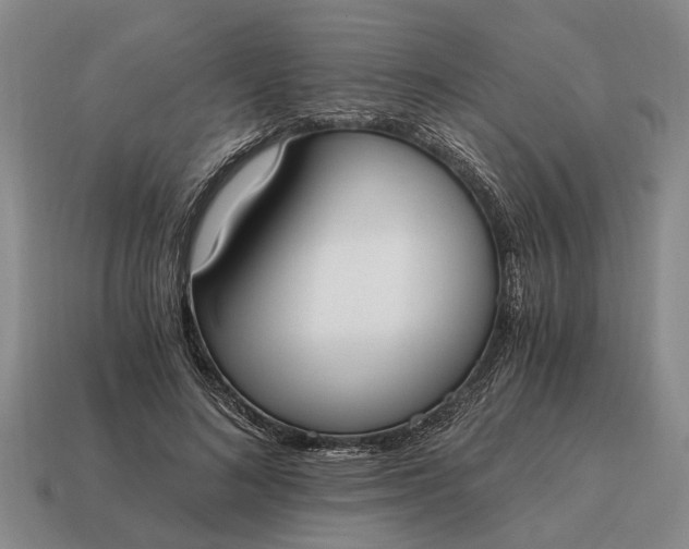 X0000115080692200911101503