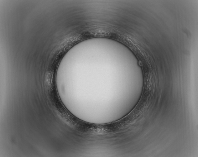 X0000115080695200911101503