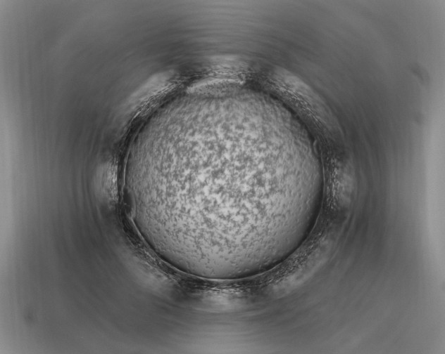 X0000115080696200911101503