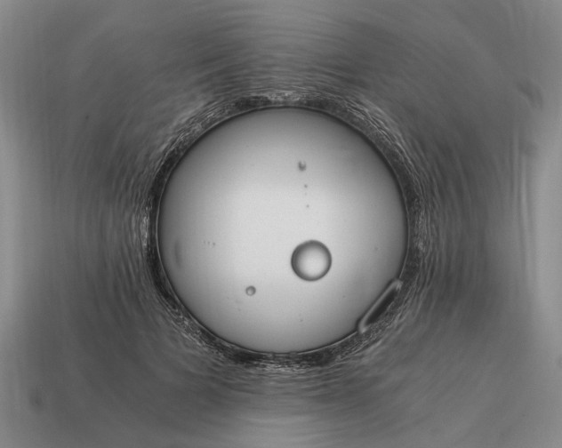 X0000115080697200911101503