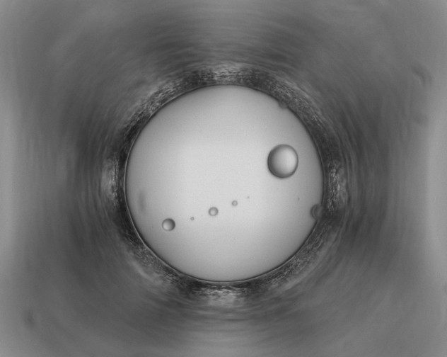 X0000115080698200911101503