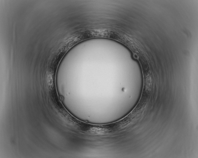 X0000115080699200911101503