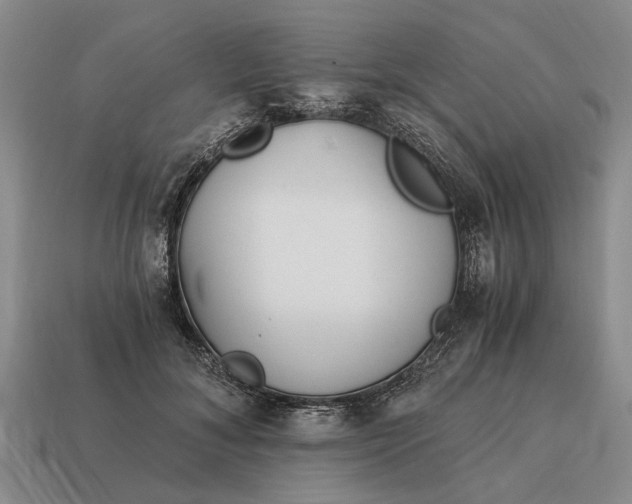 X0000115080700200911101503