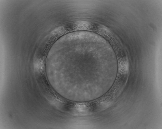 X0000115080701200911101503