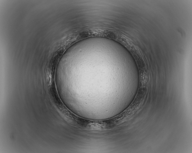 X0000115080703200911101503
