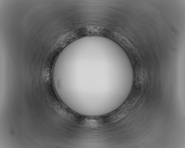 X0000115080706200911101503