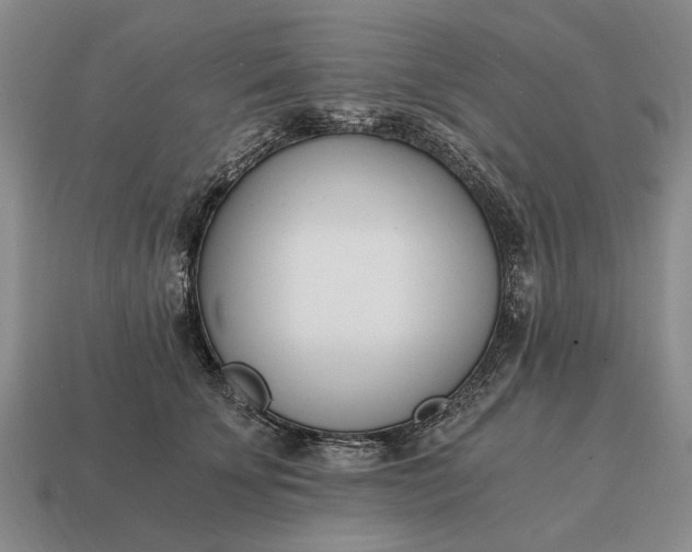 X0000115080707200911101503
