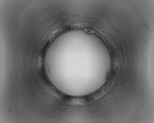 X0000115080708200911101503