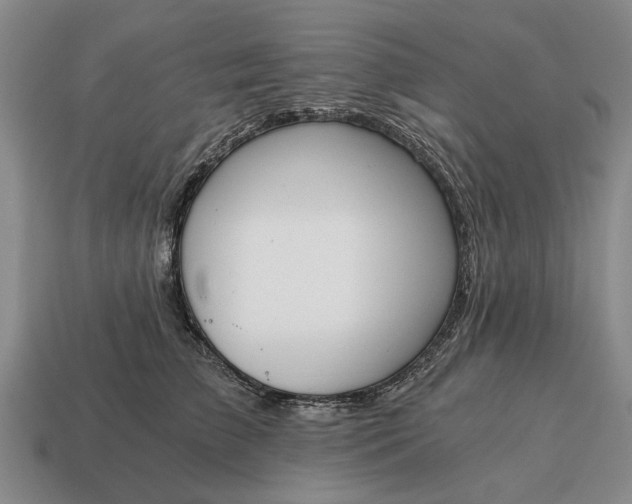 X0000115080709200911101503