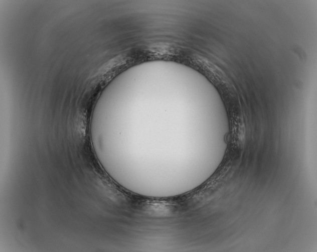 X0000115080710200911101503