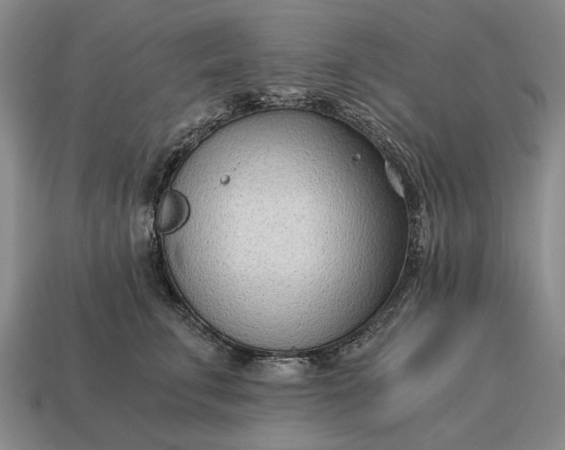 X0000115080711200911101503