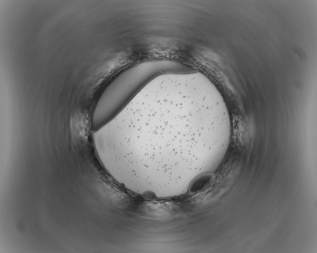 X0000115080712200911101503