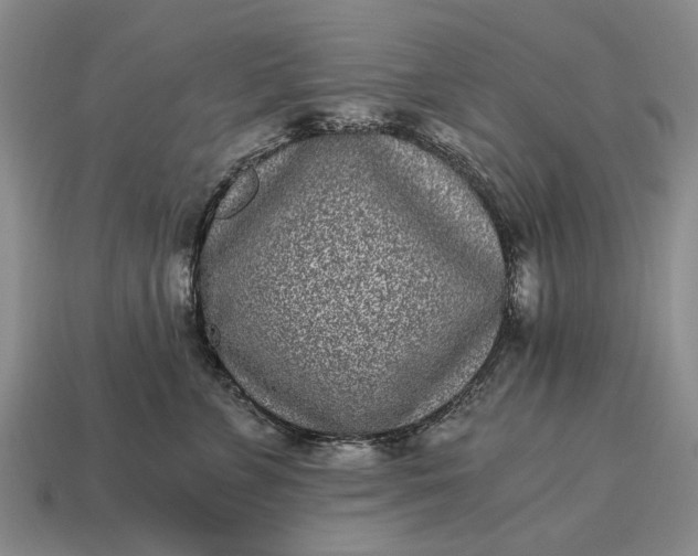 X0000115080715200911101503