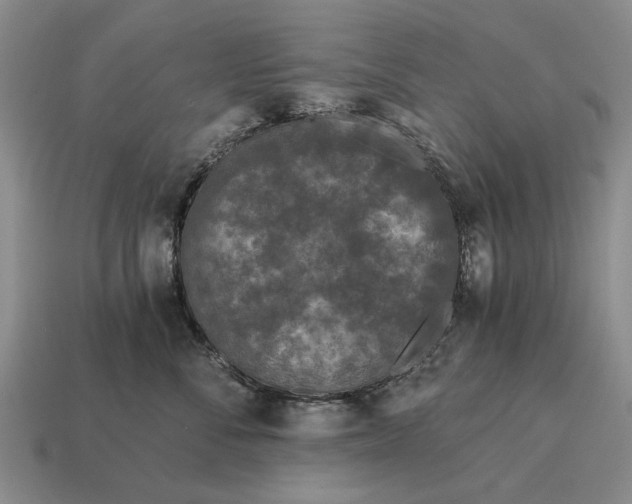 X0000115080716200911101503