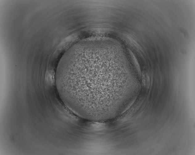 X0000115080718200911101503
