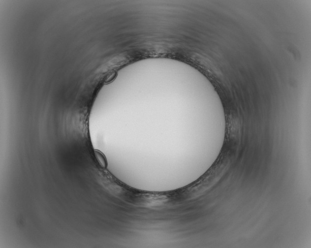 X0000115080719200911101503