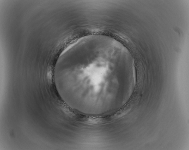 X0000115080720200911101503
