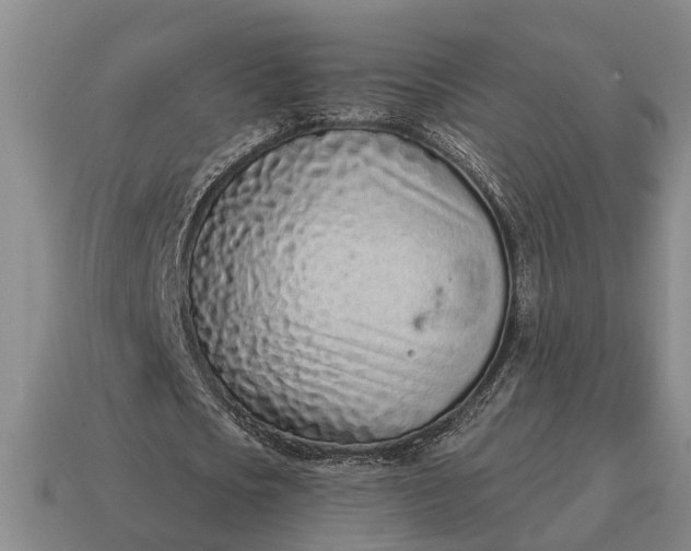 X0000115080721200911101502
