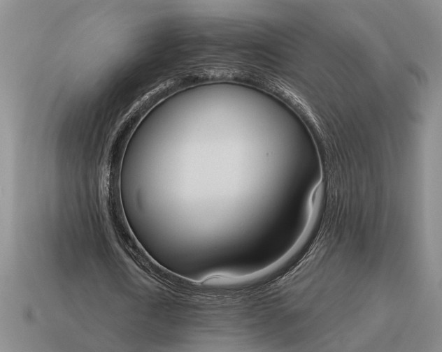 X0000115080722200911101502