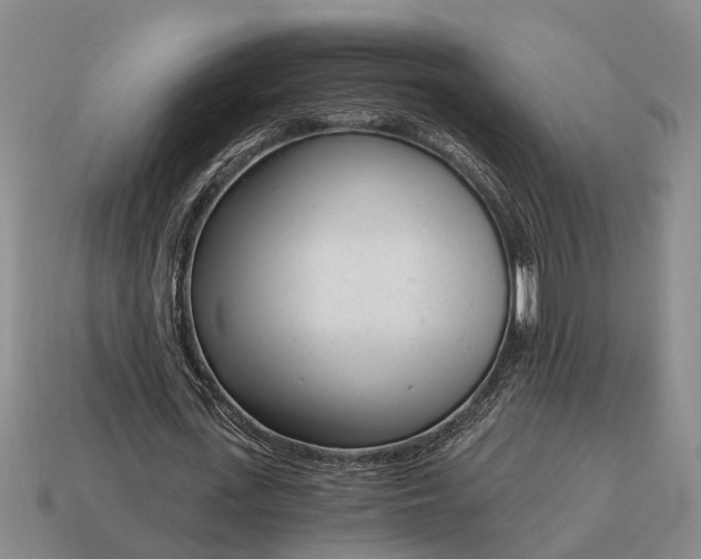 X0000115080723200911101502