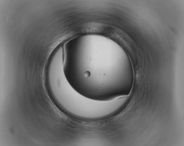 X0000115080725200911101502