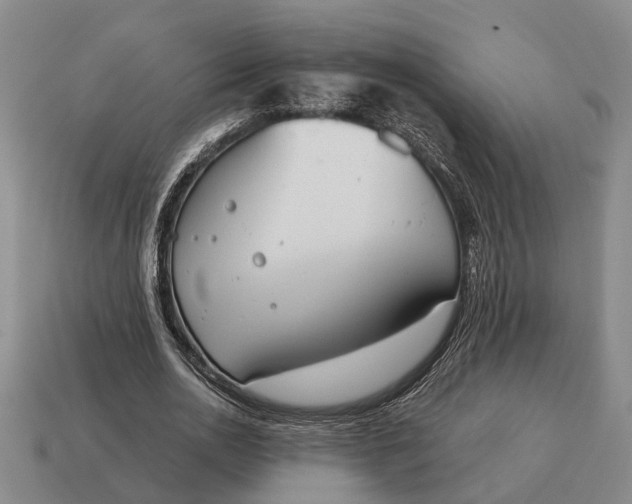 X0000115080726200911101502