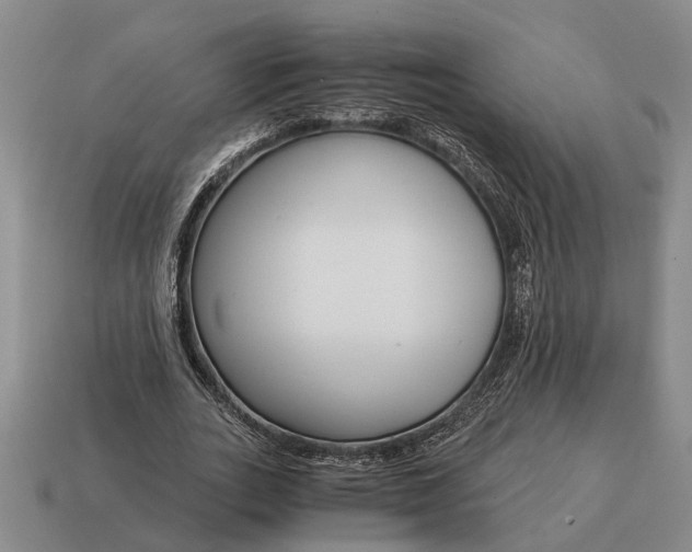 X0000115080727200911101502