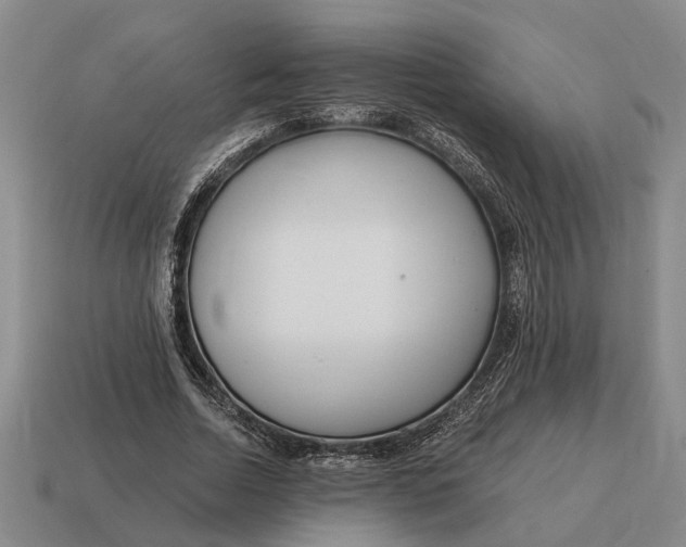X0000115080730200911101502