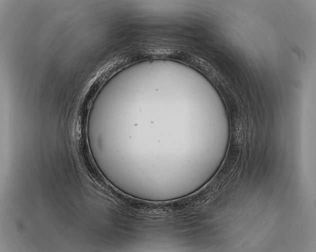 X0000115080731200911101502