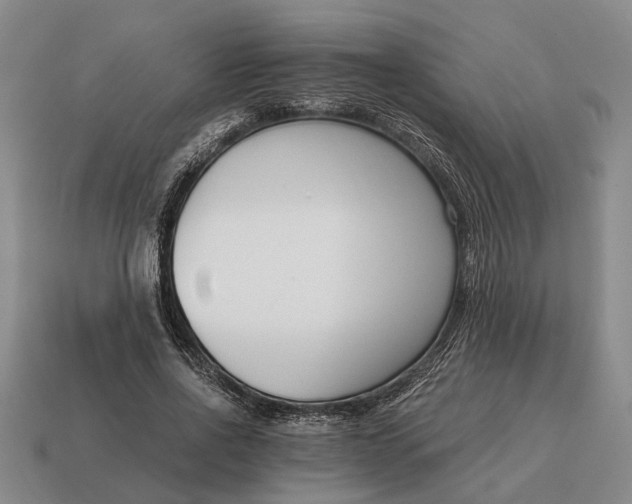 X0000115080734200911101502