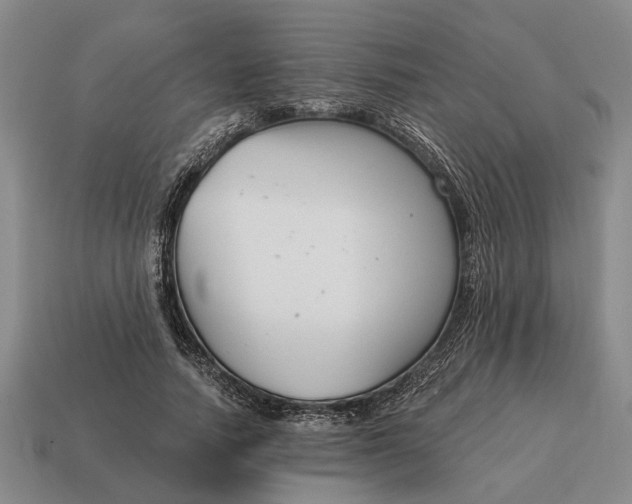 X0000115080738200911101502