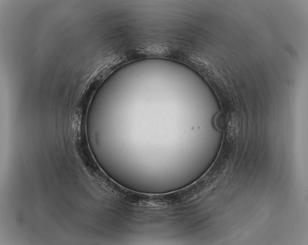 X0000115080739200911101502