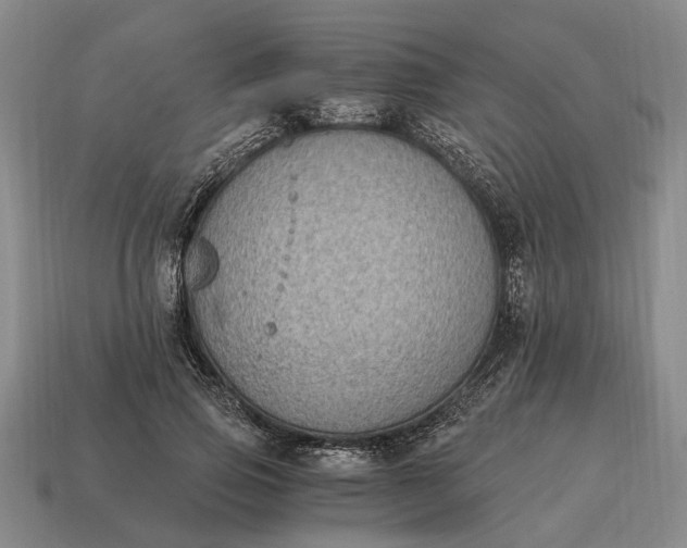 X0000115080741200911101502