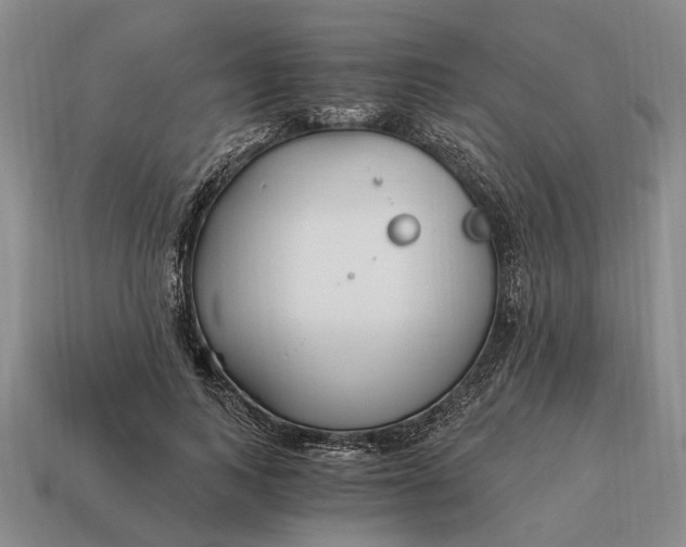 X0000115080743200911101502