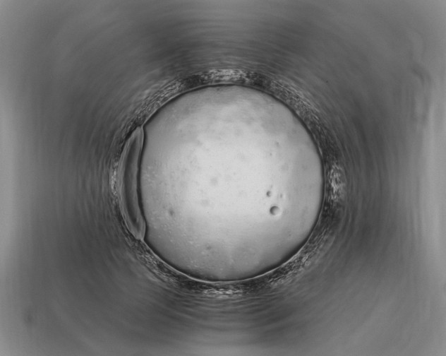 X0000115080745200911101502