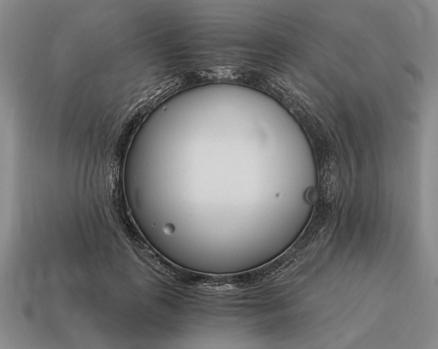 X0000115080747200911101502