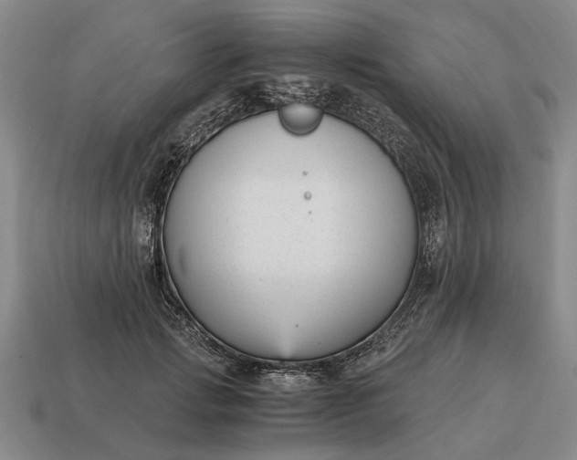 X0000115080749200911101502